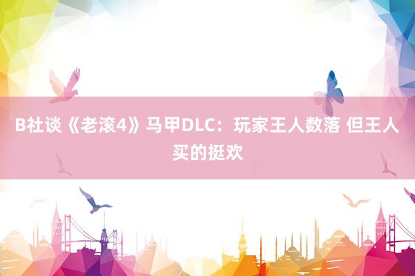 B社谈《老滚4》马甲DLC：玩家王人数落 但王人买的挺欢