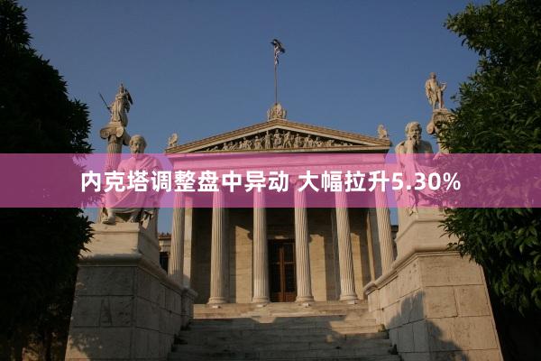 内克塔调整盘中异动 大幅拉升5.30%