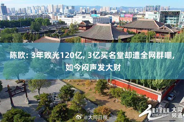 陈欧: 3年败光120亿, 3亿买名堂却遭全网群嘲, 如今闷声发大财